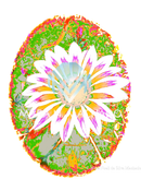 Flores del Jardín de la Casa 3 - II